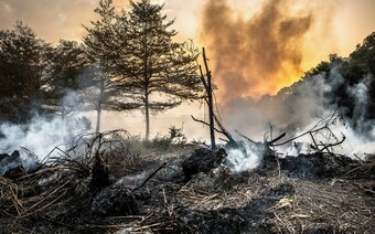 Оценка ущерба после стихийного бедствия в Калуге: отчет оценщика